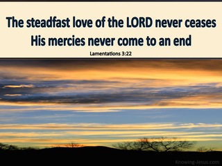 Lamentations 3:22 The Steadfast Love Of The Lord Never Fails (cream)
